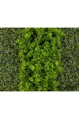 BİÇİÇEK Dikey Bahçe Duvar Paneli 120x80cm Model3 thumbnail 2