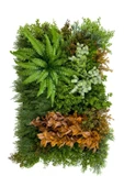 BİÇİÇEK Dikey Bahçe Duvar Paneli 120x80cm Model30 thumbnail 6