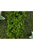 BİÇİÇEK Dikey Bahçe Duvar Paneli 120x80cm Model5 thumbnail 2