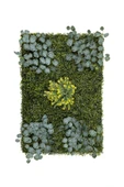 BİÇİÇEK Dikey Bahçe Duvar Paneli 120x80cm Model12 thumbnail 5