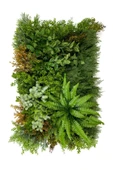 BİÇİÇEK Dikey Bahçe Duvar Paneli 120x80cm Model31 thumbnail 6