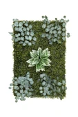 BİÇİÇEK Dikey Bahçe Duvar Paneli 120x80cm Model16 thumbnail 5