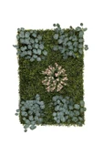 BİÇİÇEK Dikey Bahçe Duvar Paneli 120x80cm Model11 thumbnail 5