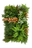 BİÇİÇEK Dikey Bahçe Duvar Paneli 120x80cm Model32 thumbnail 6