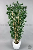 BİÇİÇEK Zen Bambu Ağacı 240 Cm Beyaz Bone Saksıda thumbnail 7