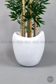BİÇİÇEK Zen Bambu Ağacı 240 Cm Beyaz Bone Saksıda thumbnail 2
