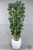 BİÇİÇEK Zen Bambu Ağacı 240 Cm Beyaz Bone Saksıda thumbnail 4