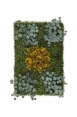 BİÇİÇEK Dikey Bahçe Duvar Paneli 120x80cm Model13 thumbnail 5
