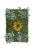 BİÇİÇEK Dikey Bahçe Duvar Paneli 120x80cm Model17 thumbnail 5