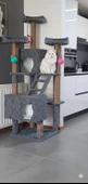 Kedi evi tırmalama thumbnail 1