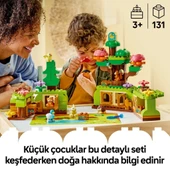 Vahşi Hayvanlarla Keşif Ormanı 10480 thumbnail 4