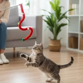 Süs Tasarımlı Kedi Oltası thumbnail 3