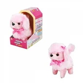 Sevimli Köpek Poodle thumbnail 3