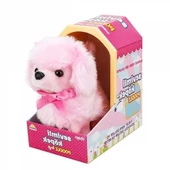 Sevimli Köpek Poodle thumbnail 2