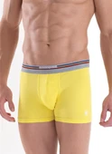 Blackspade Erkek Colours Boxer 9550 thumbnail 2