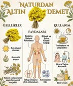 Altın Otu Doğal 6 Demet thumbnail 3