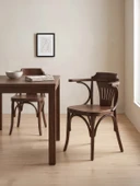 Thonet Klasik Ahşap Sandalye thumbnail 1