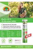 Sunlife Multi +Q10 Multivitamin (20 Tablet) thumbnail 4