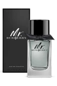 BURBERRY Mr. 100 ml Edt thumbnail 1