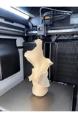 LayerOne Modern Sanatsal Dekoratif Biblo thumbnail 4