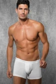 Doreanse 1722 Erkek Modal Boxer Beyaz thumbnail 2
