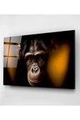 Monkey Cam Tablo, Dekoratif Cam Tablo thumbnail 4