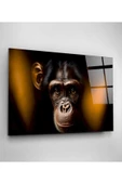 Monkey Cam Tablo, Dekoratif Cam Tablo thumbnail 2