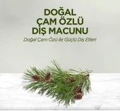 Doğal Diş Macunu 90 Gr Çam Özlü thumbnail 2