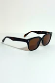 Chocolate Sloandra thumbnail 3