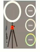 HLYPRO Ring Light Vlogger Kit thumbnail 4