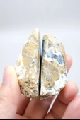 Mavi Dendrit Opal Çifti • Beyaz İçeriğe Sahip Opal thumbnail 6