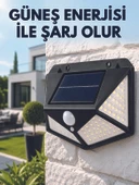 Y100 SOLAR LAMBA thumbnail 3