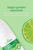 YEŞİLMARKA DOĞAL DEODORANT BERGAMOT 50 ML thumbnail 4