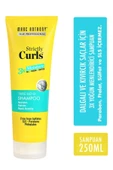 Marc Anthony Strictly Curls 3X Moisture Triple Blend Shampoo 250 ml thumbnail 1