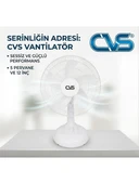 CVS DN 91059 12''ınc Masaüstü Vantilatör Beyaz thumbnail 1