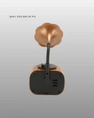 B5 RADYO thumbnail 5