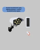 V070 SOLAR LAMBA thumbnail 2