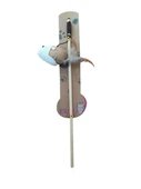 Nunbell Kedi Oltası thumbnail 1