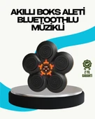 Ev Tipi Akıllı Boks Duvar Paneli Müzikli Bluetoothlu Refleks Geliştirme thumbnail 1