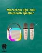 İki Mikrofonlu Renkli Led Işıklı Karaoke thumbnail 1