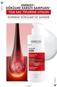 Vichy Dercos Aile Saç Bakım Şampuanı Seti thumbnail 5