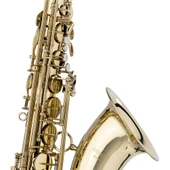 STAGG WS-TS215S TENOR SAKSAFON SİB (BB) thumbnail 6