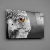 Şahin Cam Tablo thumbnail 2