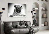 Pug Cam Tablo thumbnail 4