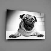 Pug Cam Tablo thumbnail 2
