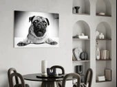 Pug Cam Tablo thumbnail 5