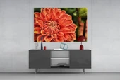 Turuncu Gerbera Cam Tablo thumbnail 8