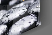 Spa Cam Tablo thumbnail 7