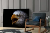Kartal Cam Tablo thumbnail 6