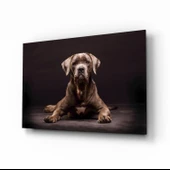 Köpek Cam Tablo thumbnail 1